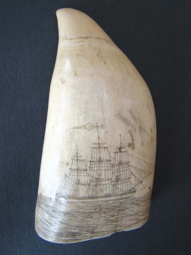 A fine 19th century Scrimshawed Whale's Tooth depicting a whale hunt